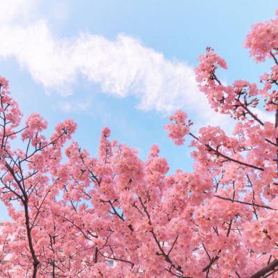 神俑降临公测版下载